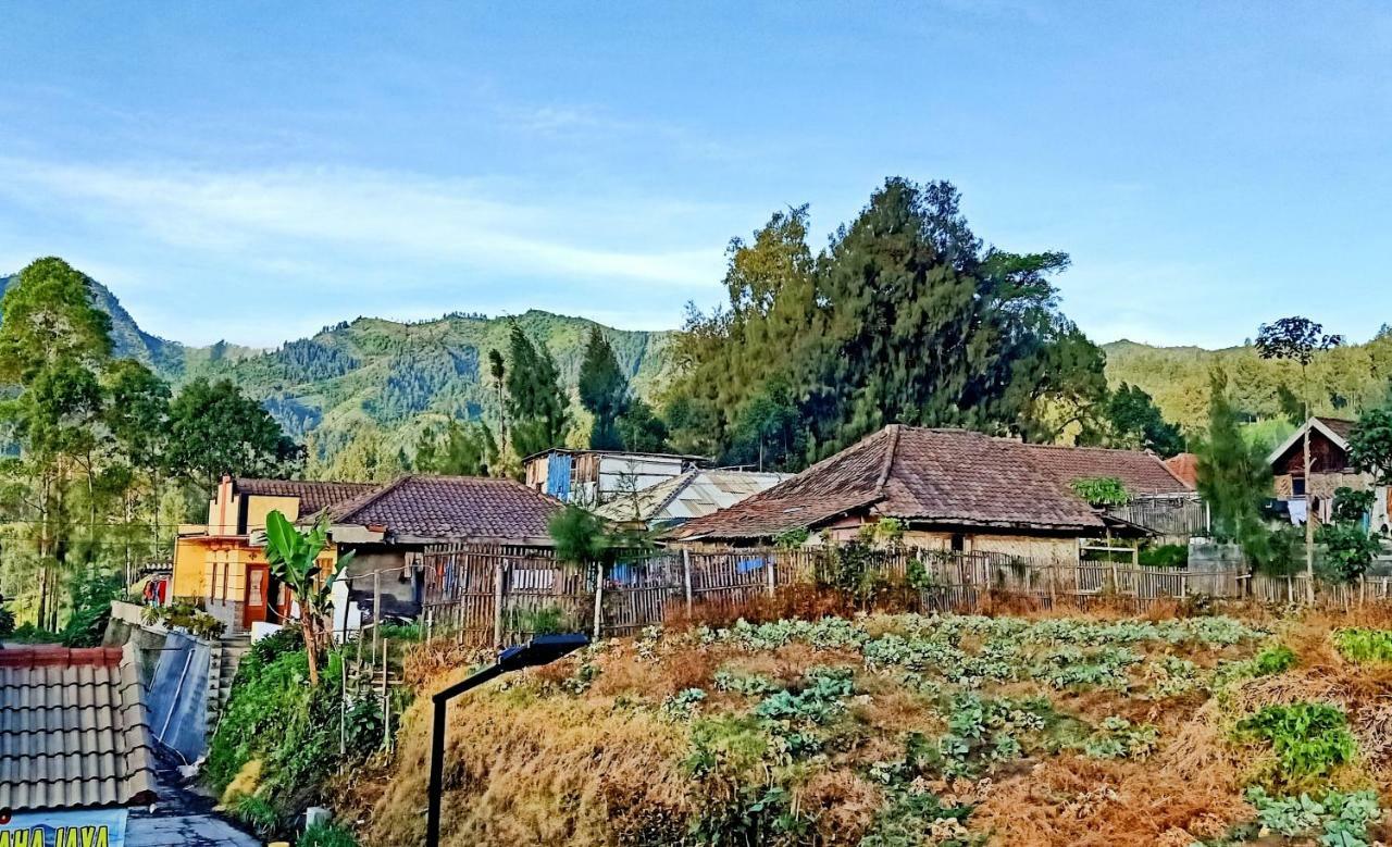 Homestay Anggun ブロモ山 エクステリア 写真