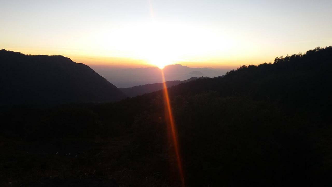 Homestay Anggun ブロモ山 エクステリア 写真